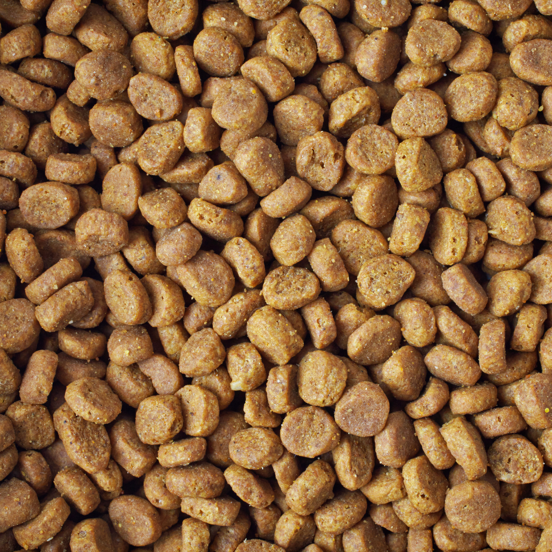 Rações para Animais